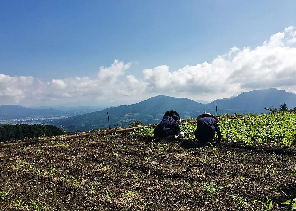 20170916nosagyo.jpg