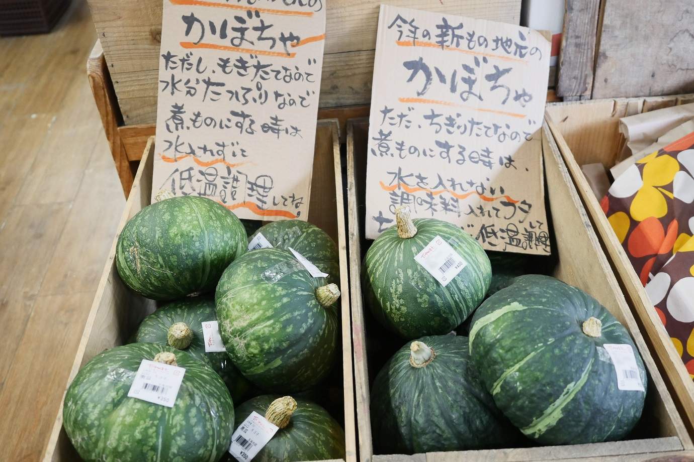 陳列されたかぼちゃ
