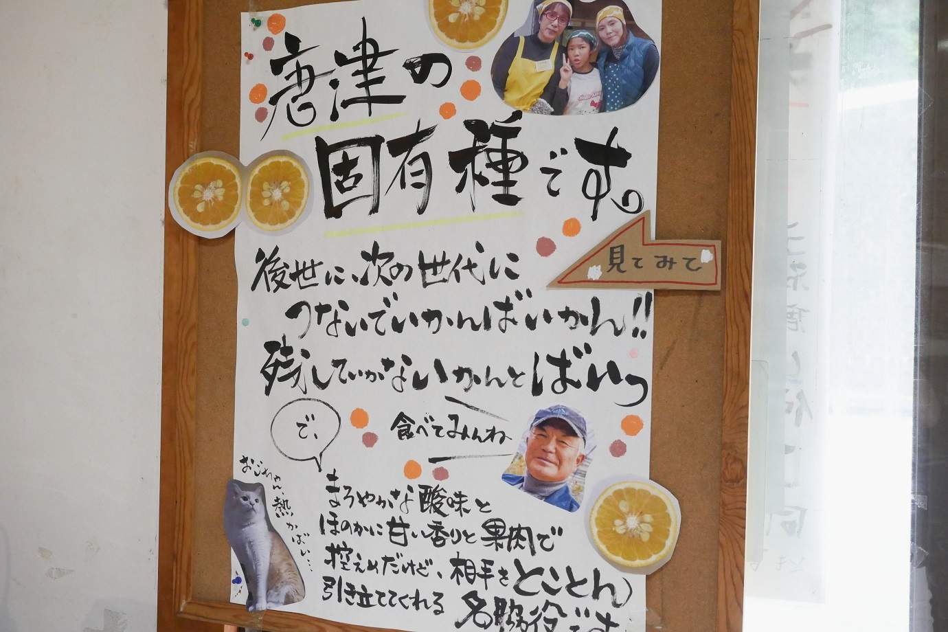 元寇ジャムの紹介ポスター