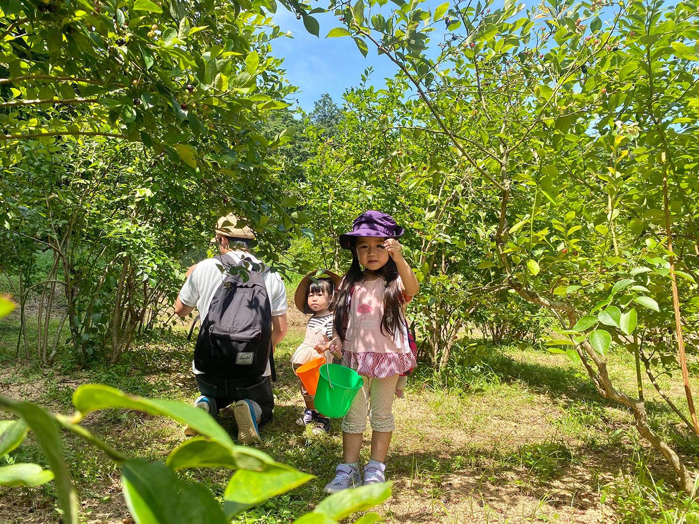 20201204_r1_01.jpg
