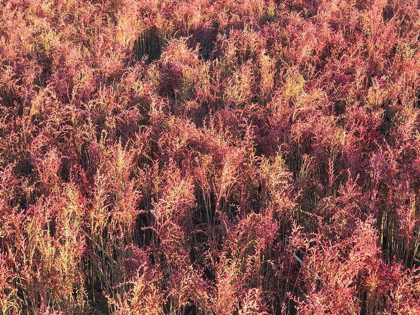 20221108_tkk_2_.jpg