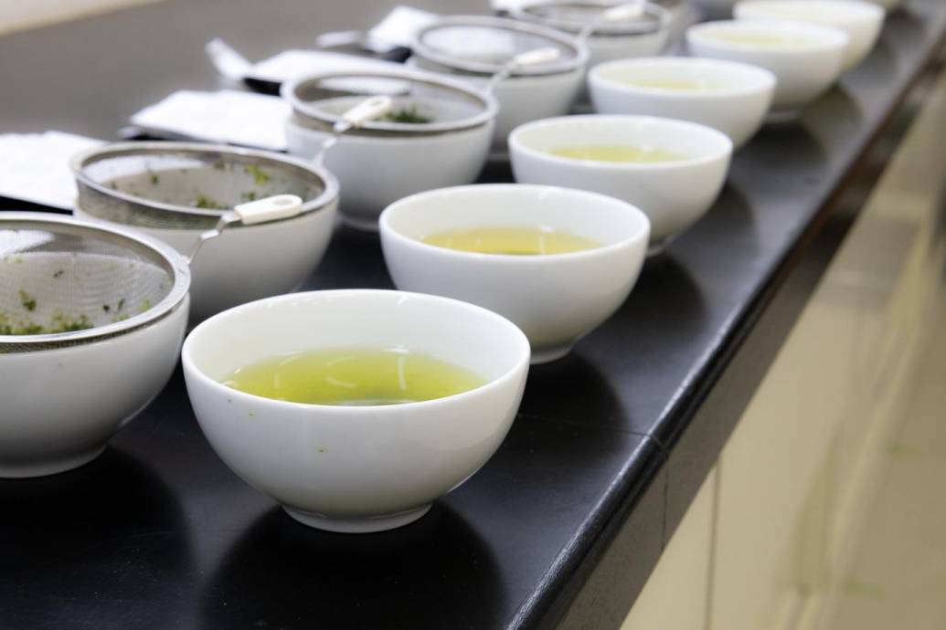 うれしの茶を飲み比べ！大切な人に贈るグリーンレターをよりたくさんの人達へ team 三根 お試し地域づくり活動