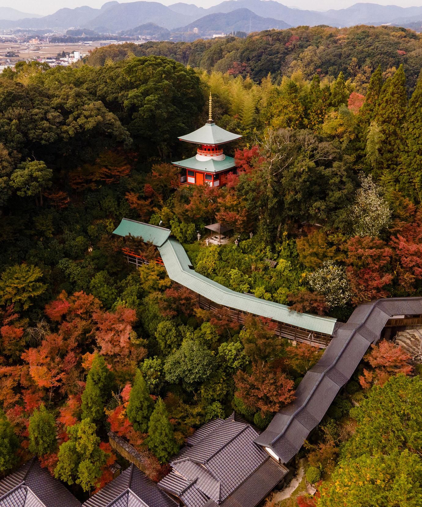 DJI_0158-1.jpg
