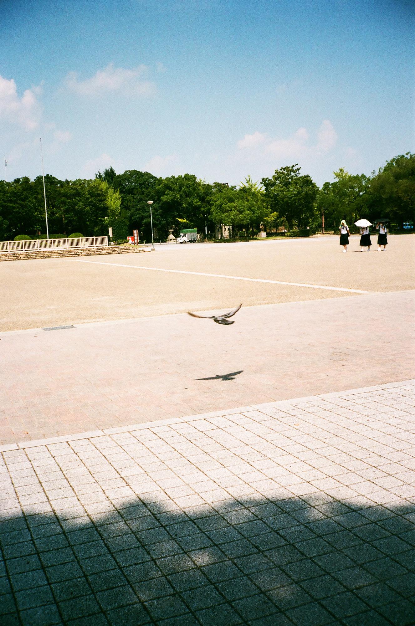 hato04web.jpg