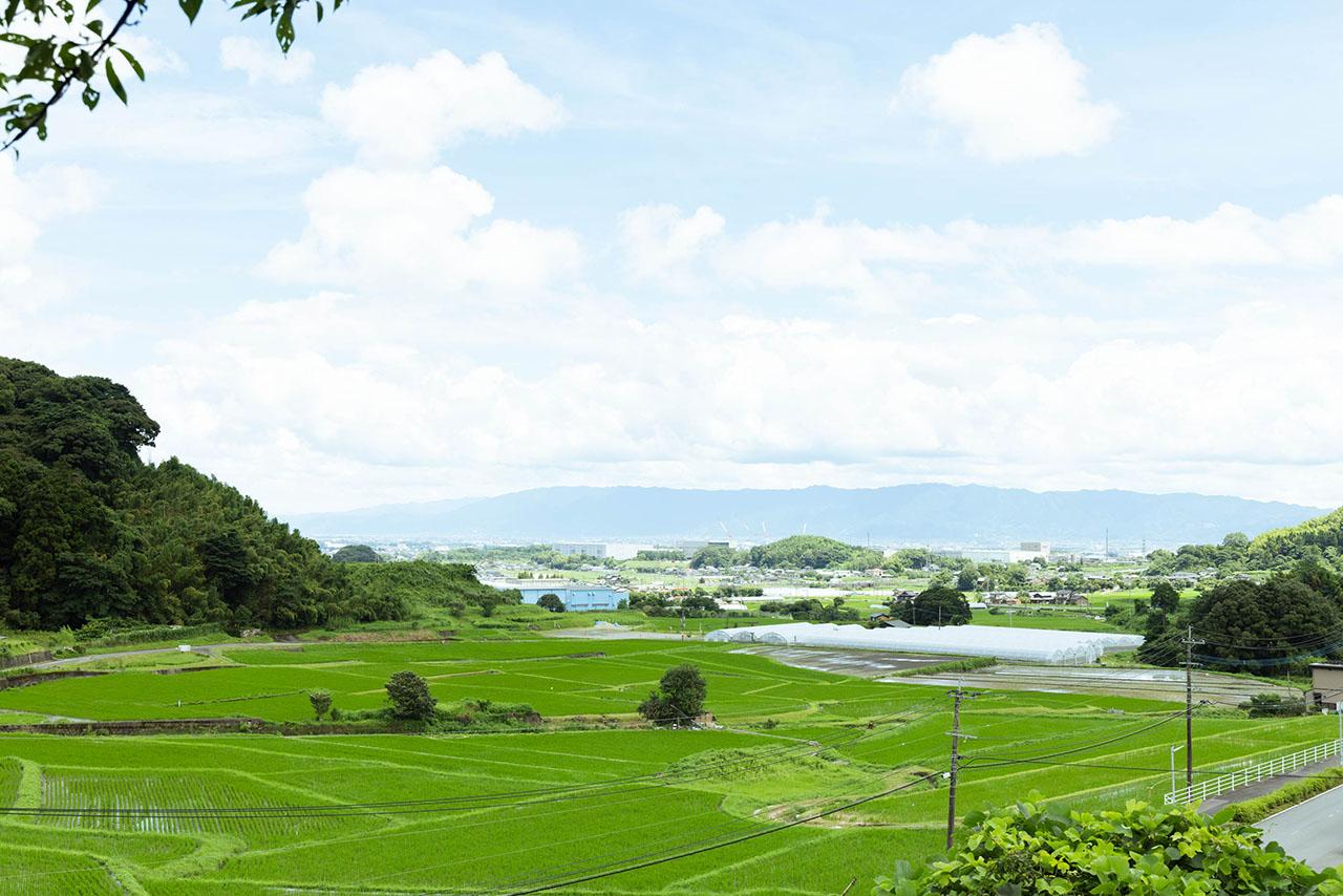 shojima(20230711)(web)-004.jpg