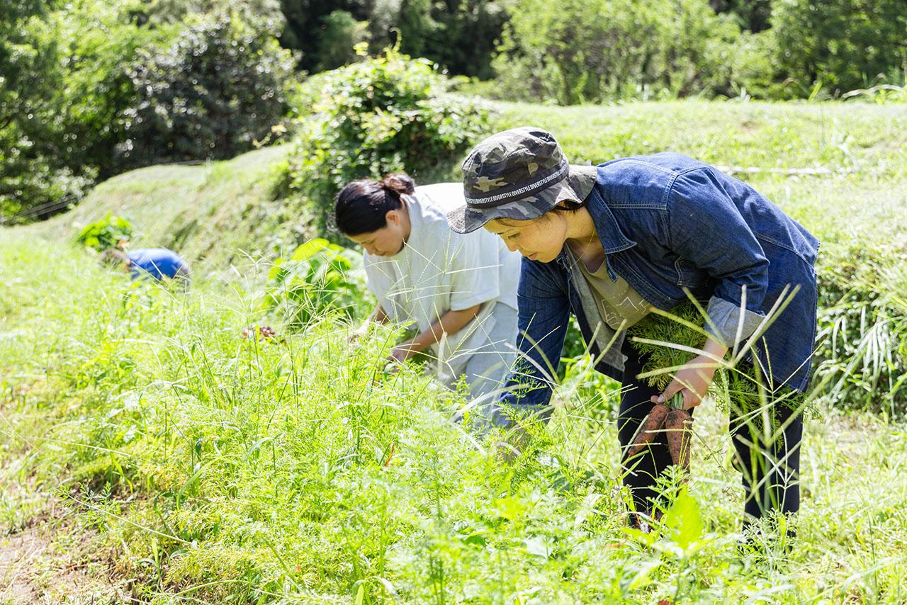 shojima(20230711)(web)-017.jpg