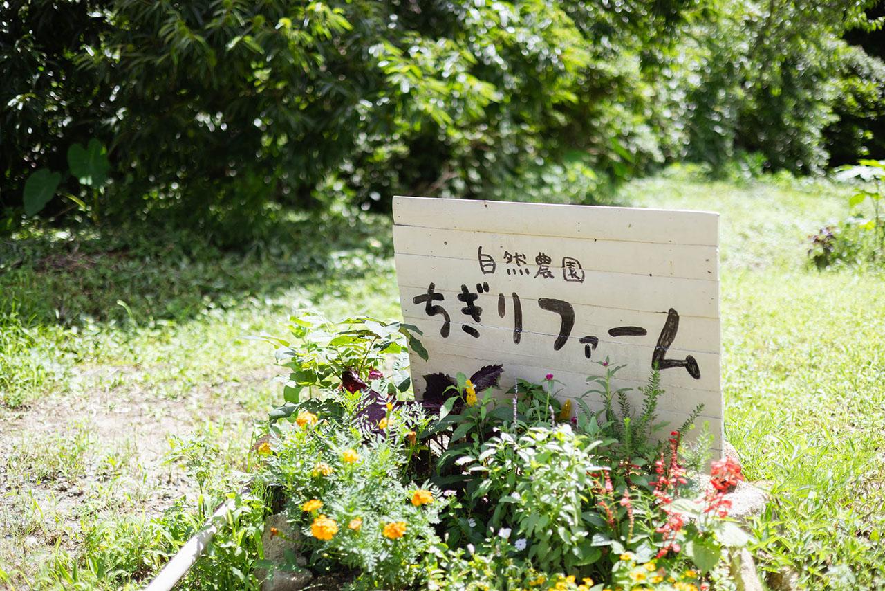shojima(20230711)(web)-019.jpg