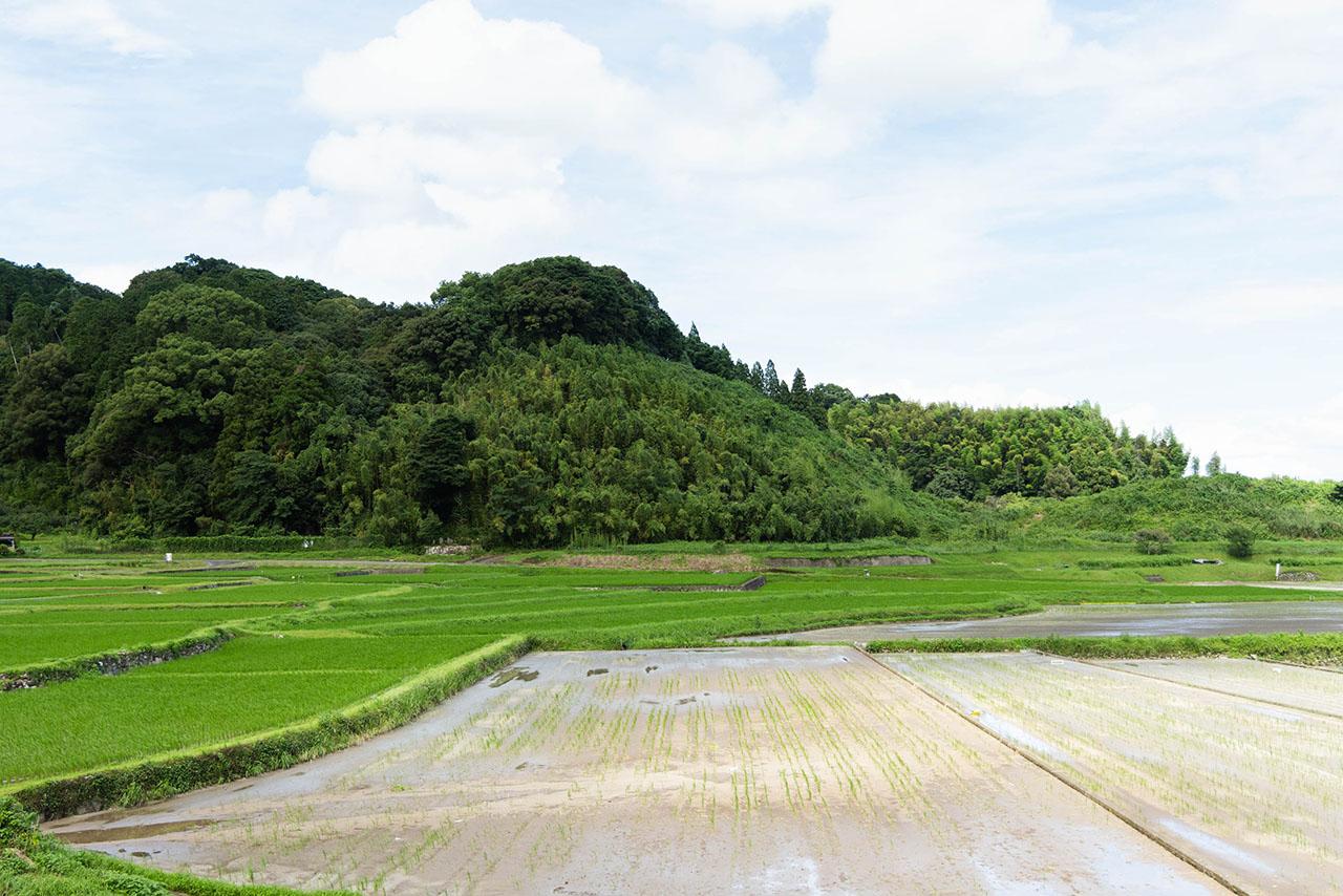 shojima(20230711)(web)-021.jpg