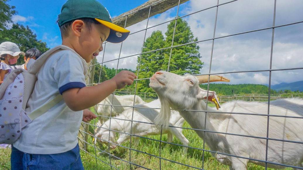 【三瀬ルベール牧場 どんぐり村】超定番の大人気子連れスポットで遊んだら、人気の理由が再認識できた件。