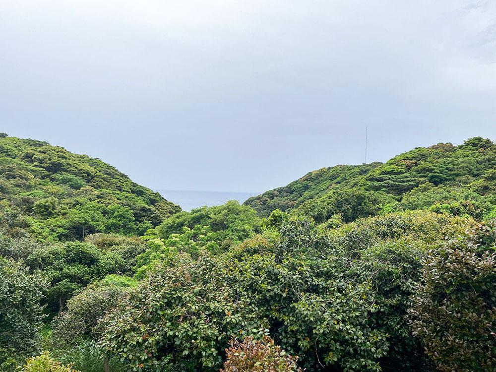 kakaraisland_10.jpg