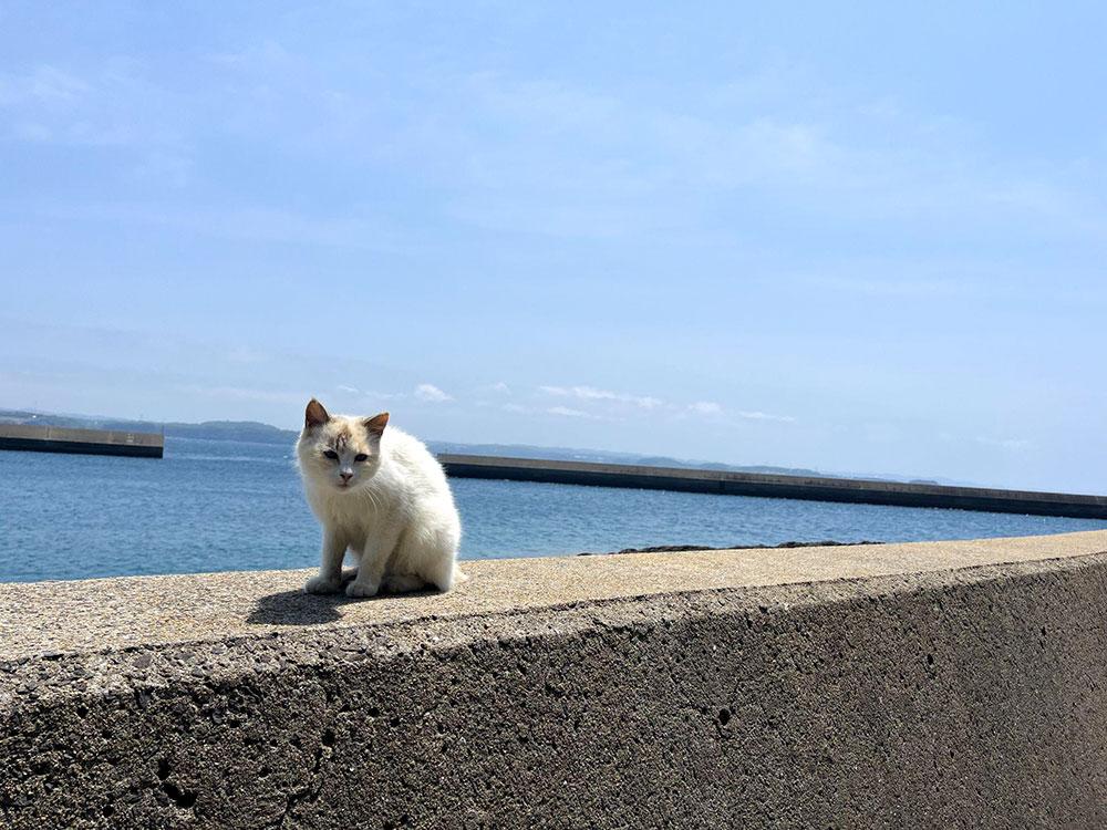 kakaraisland_21.jpg