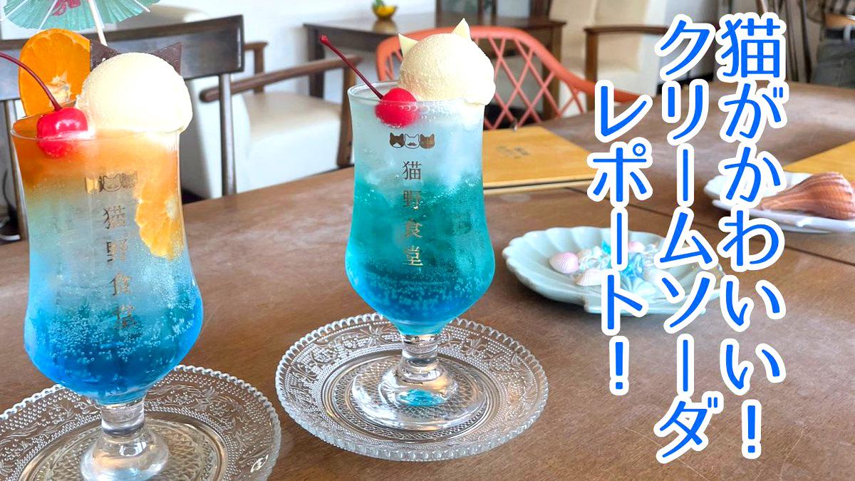 思わず撮りたくなるクリームソーダ！猫モチーフが可愛すぎる佐賀のカフェ
