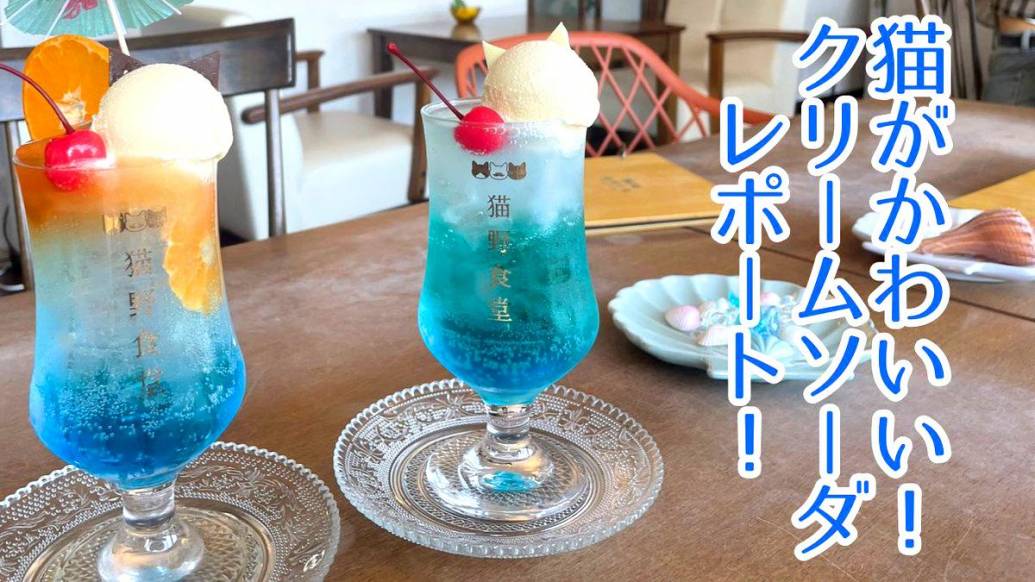 思わず撮りたくなるクリームソーダ！猫モチーフが可愛すぎる佐賀のカフェ
