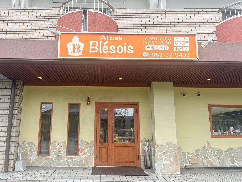 yz2411_blesois_01.jpg