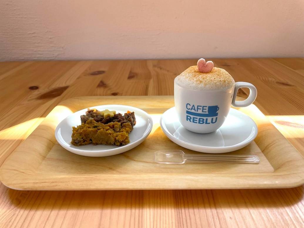 犬用のカプチーノ！？愛犬と一緒にお茶できる佐賀市の「REBLU」