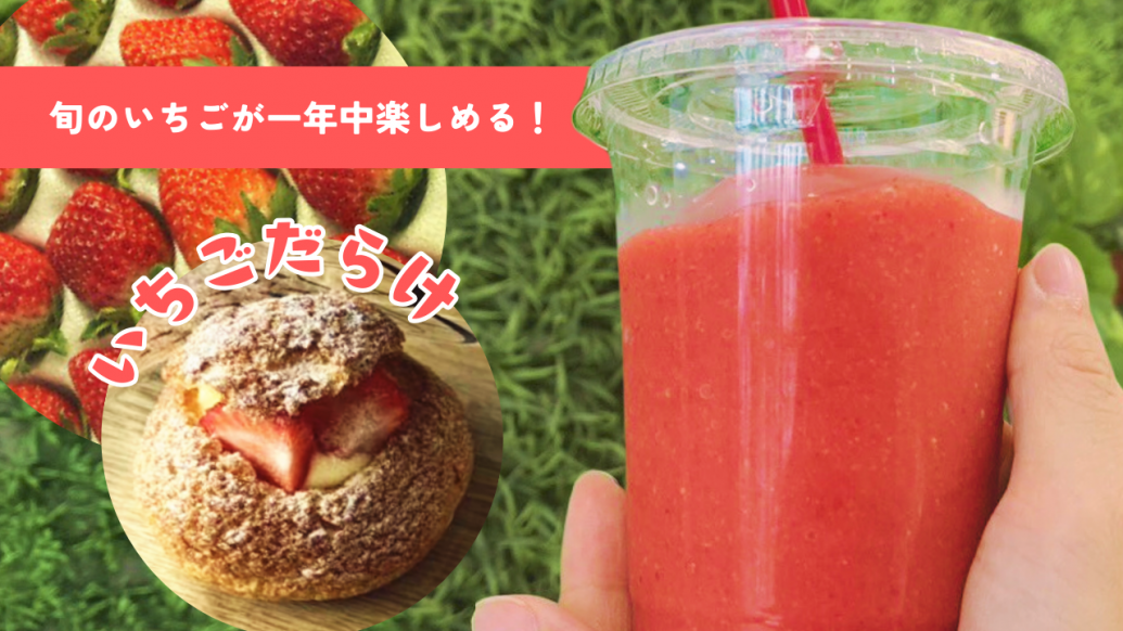 "いつでも旬のいちごが食べられる" 唐津市「いちごの森」