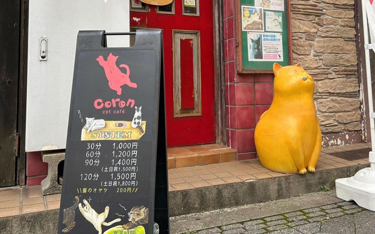 nekocafecoron_02.jpg