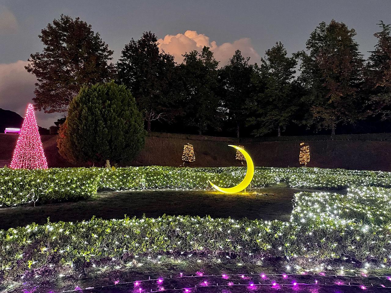 sagailluminage_05.jpg