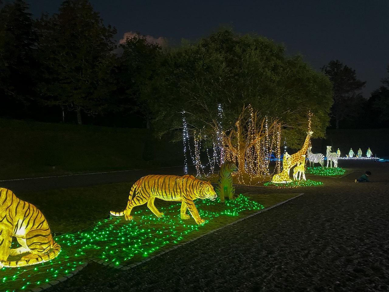 sagailluminage_11.jpg