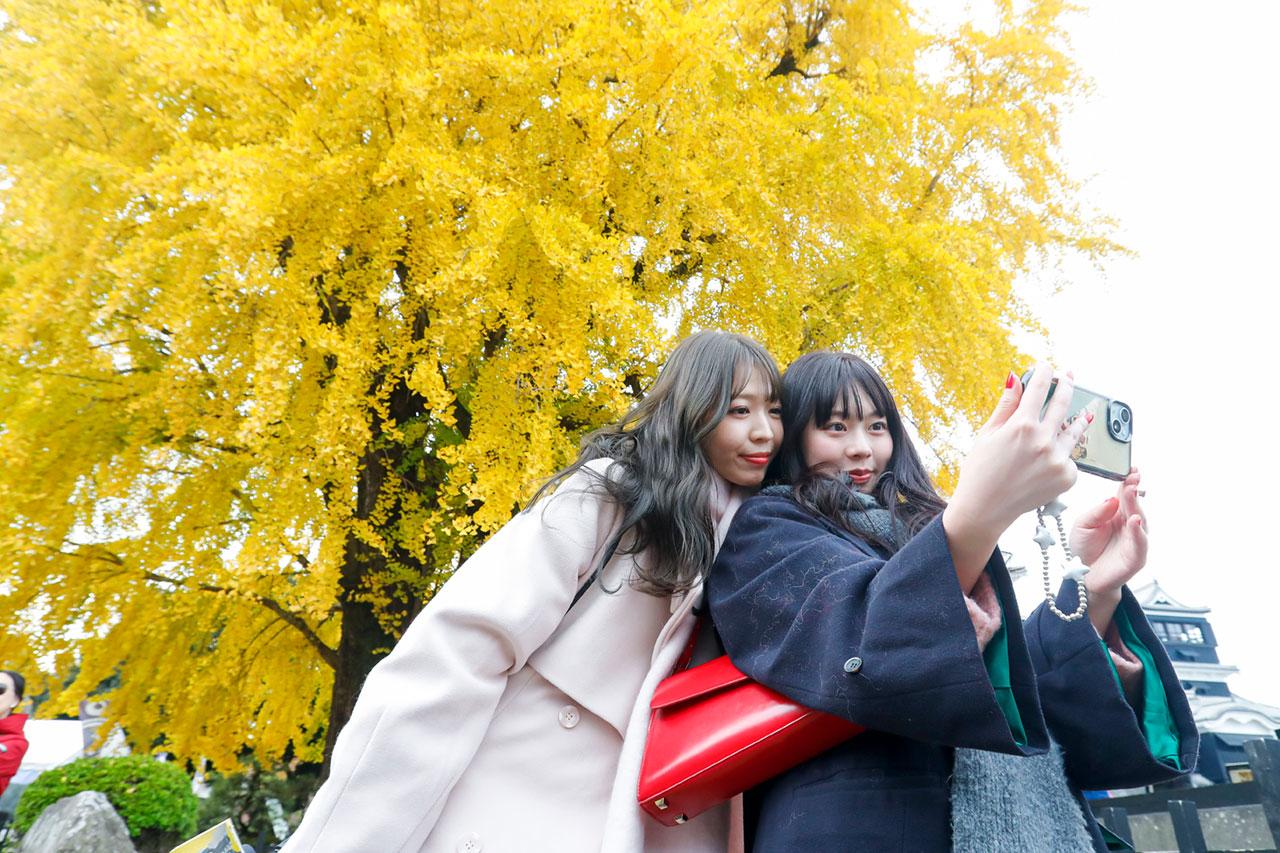 sakura__11.jpg