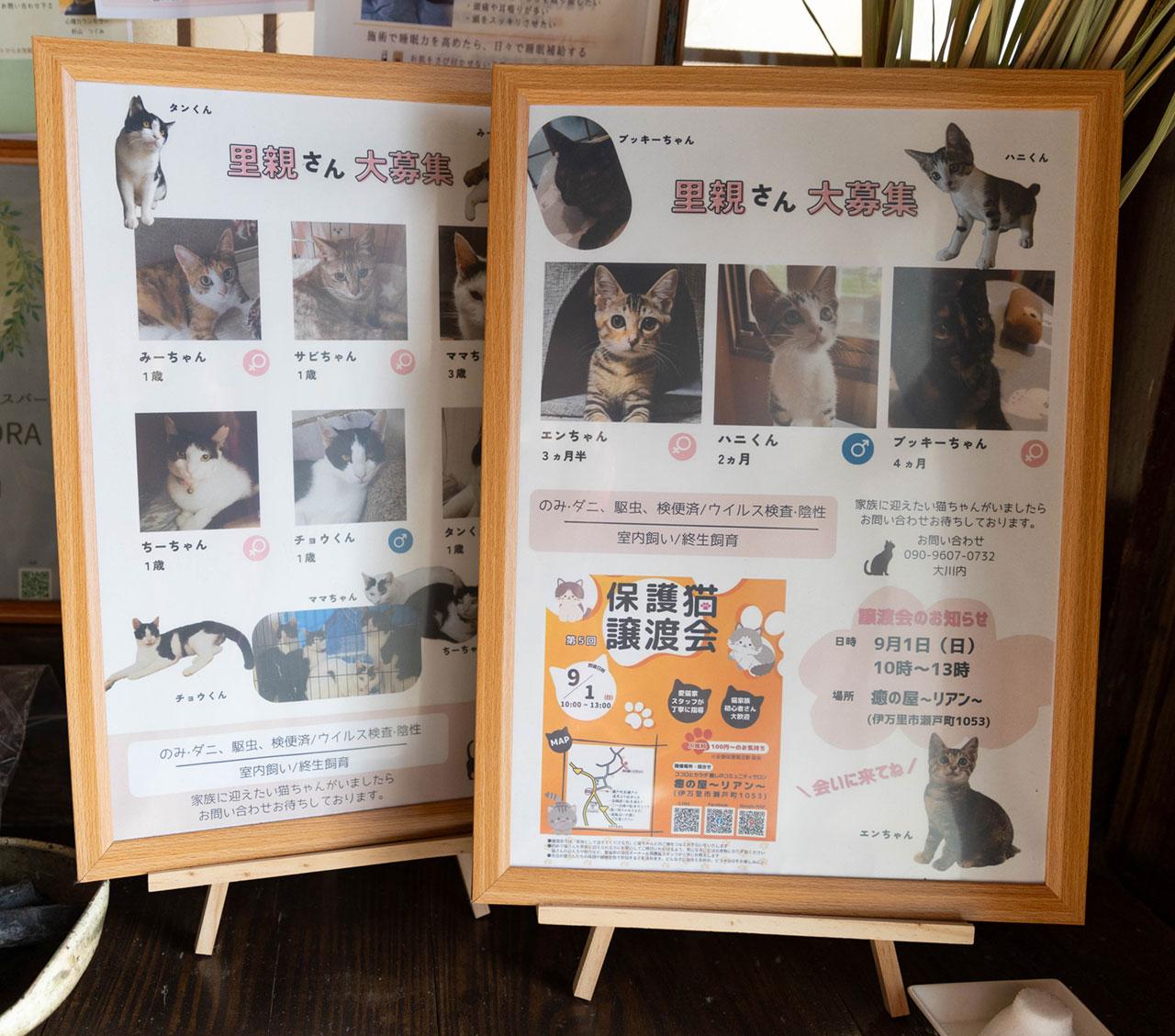 yunoyalien_07.jpg