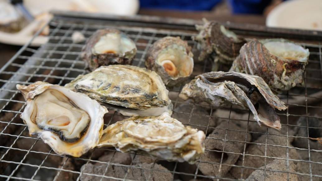 家族連れにやさしい！サイドメニューも超充実した朝採れ絶品ブランド牡蠣が食べられるオシャレな牡蠣小屋