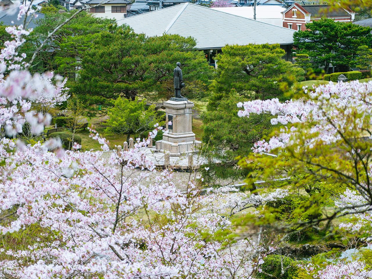sakura2025_20.jpg