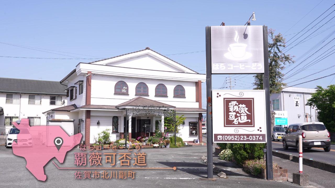 sandoicchi_01.jpg