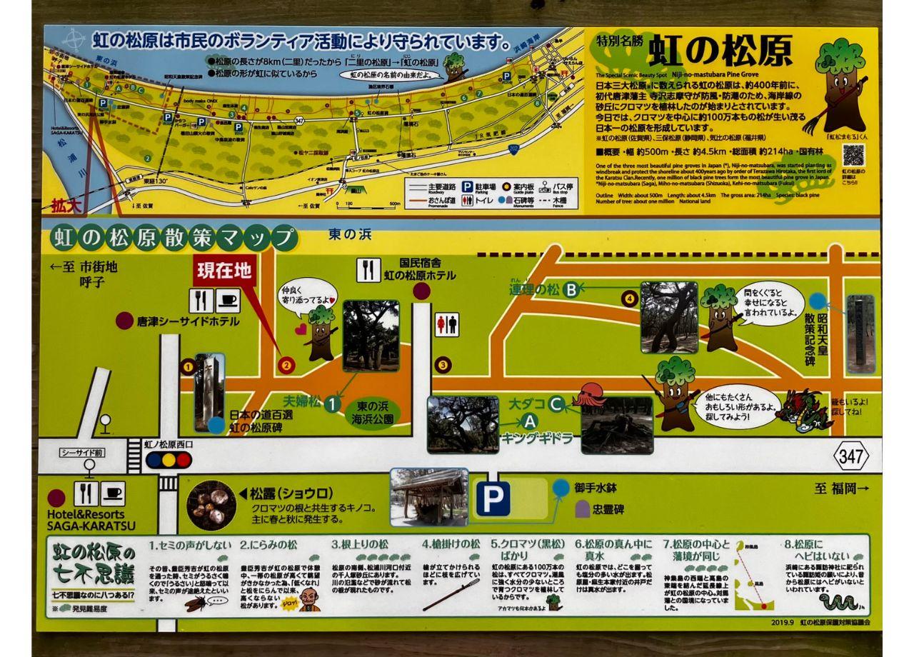 nijinimatubara_10.jpg