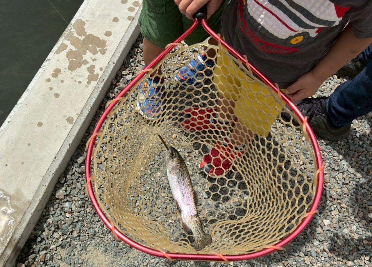 fishinghirano_2.jpg