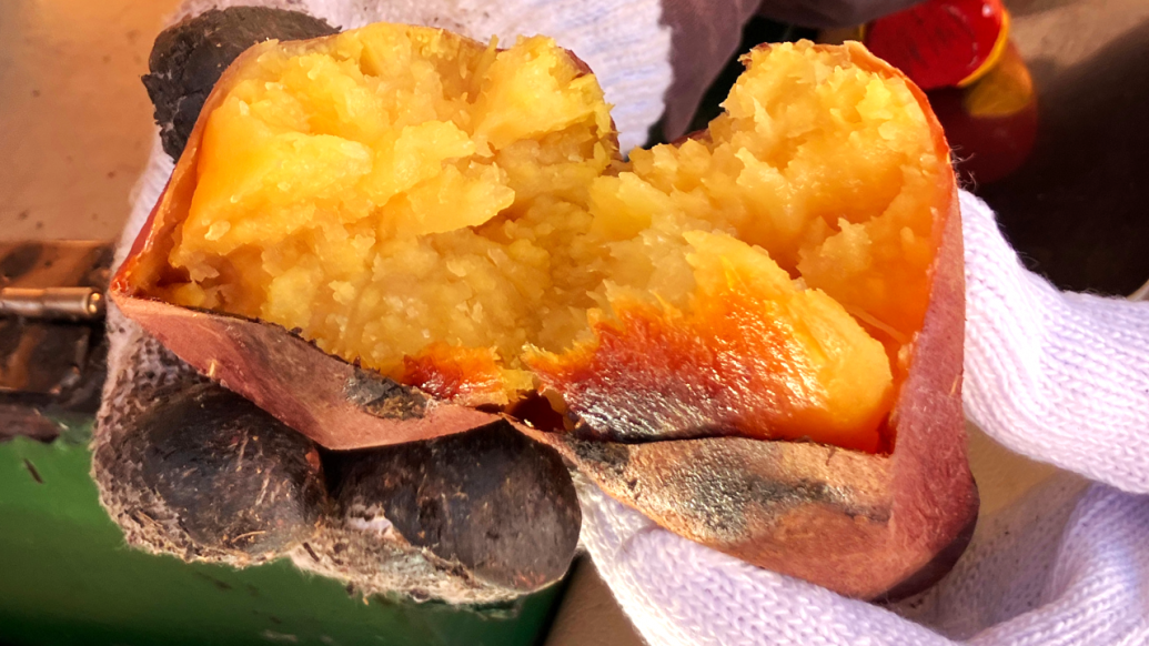 あま〜い蜜がたっぷりの焼き芋屋さん！唐津を走る移動販売車「まろちゃんのやきいも」