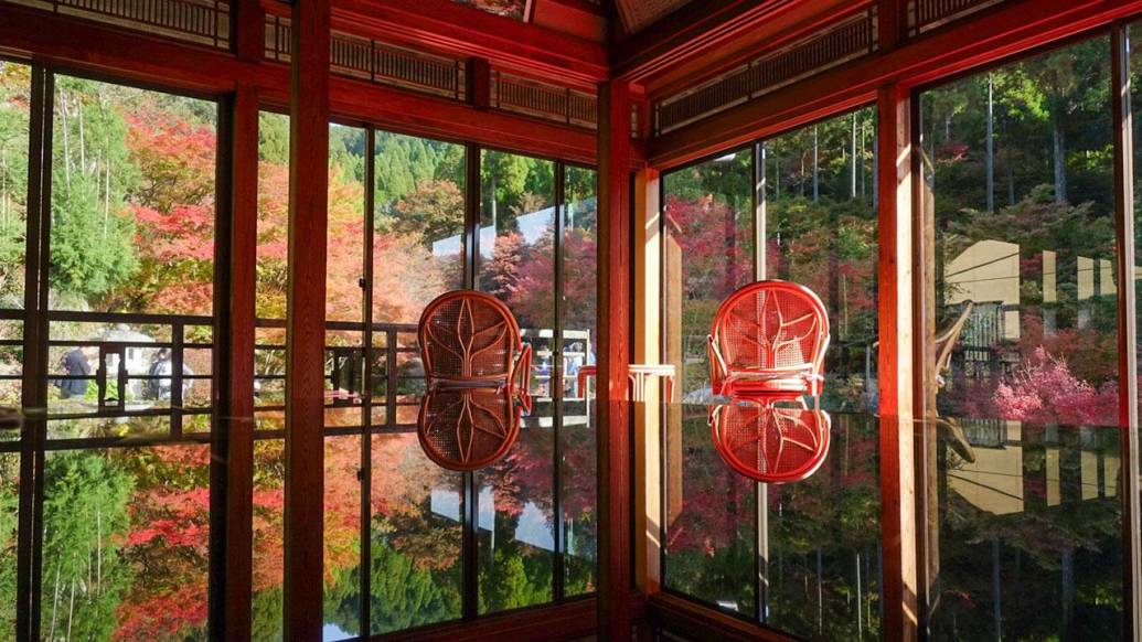 佐賀の人気映えスポット！紅葉美しい「環境芸術の森」で秋を感じよう