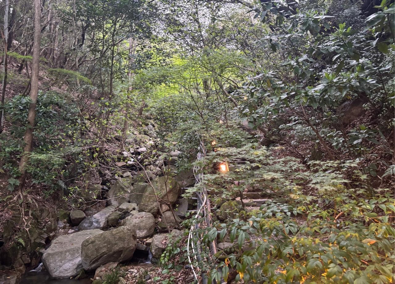 yamaboushi_03.jpg