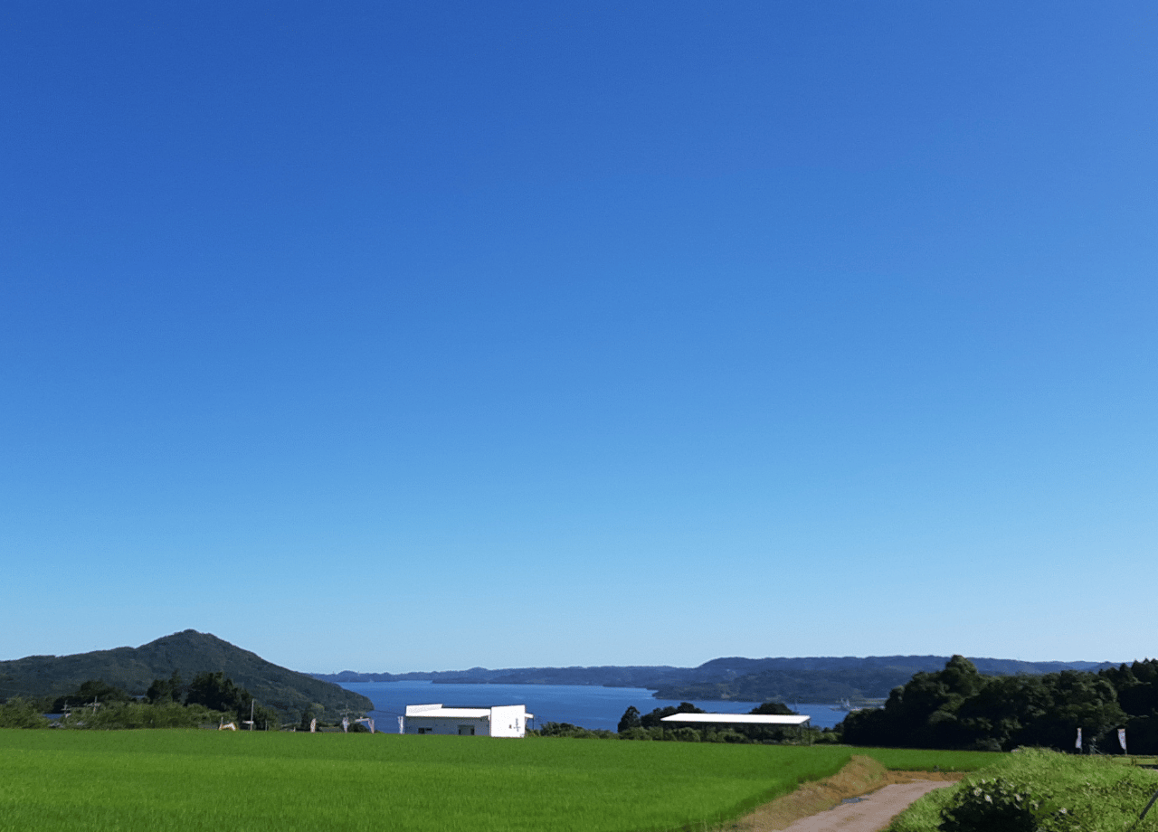 IMARI BLUEBERRY FARM_02.png