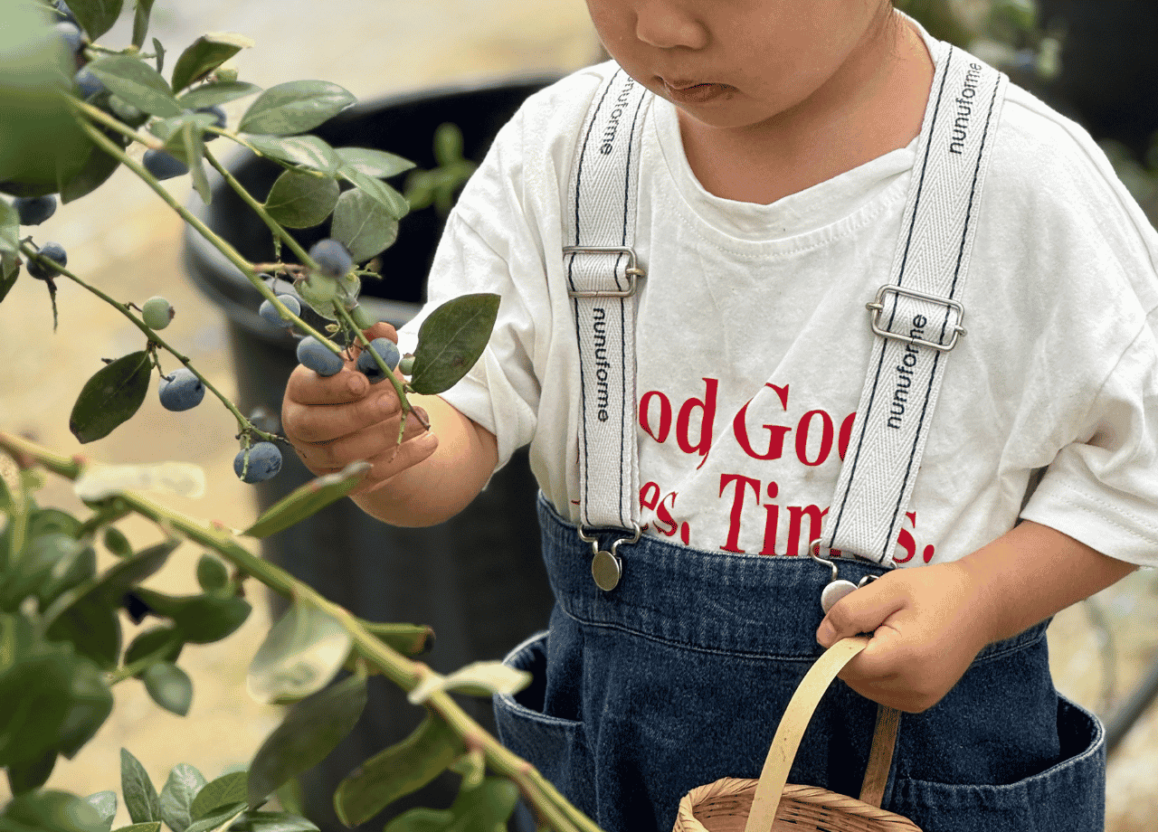 IMARI BLUEBERRY FARM_06.png