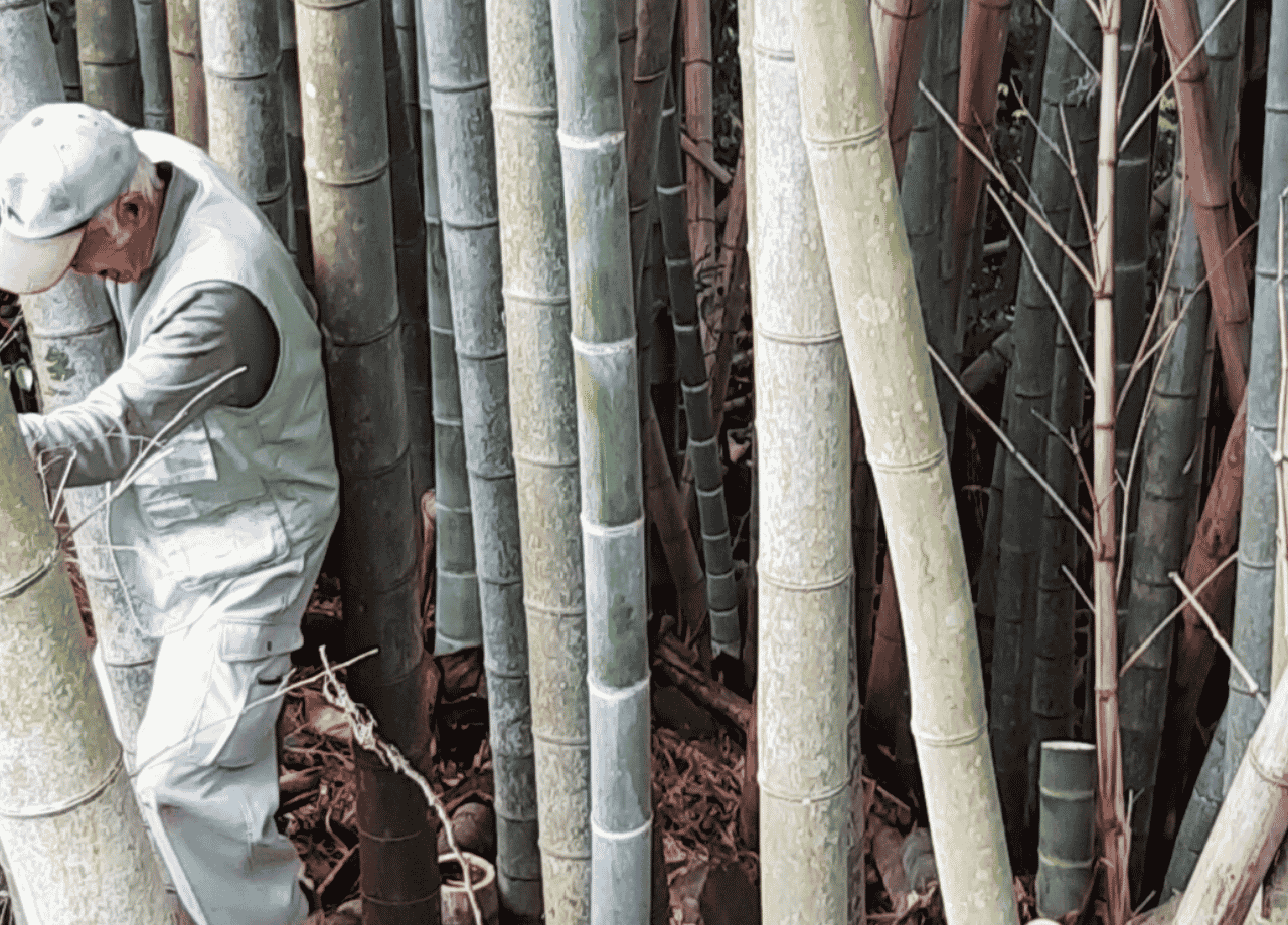 IMARI BLUEBERRY FARM_10.png