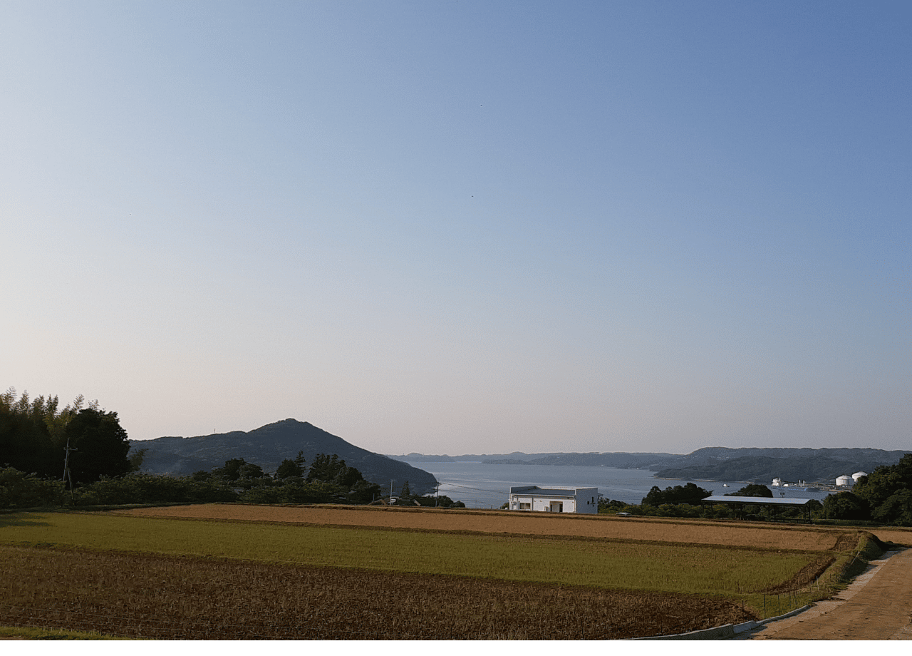 IMARI BLUEBERRY FARM_16.png