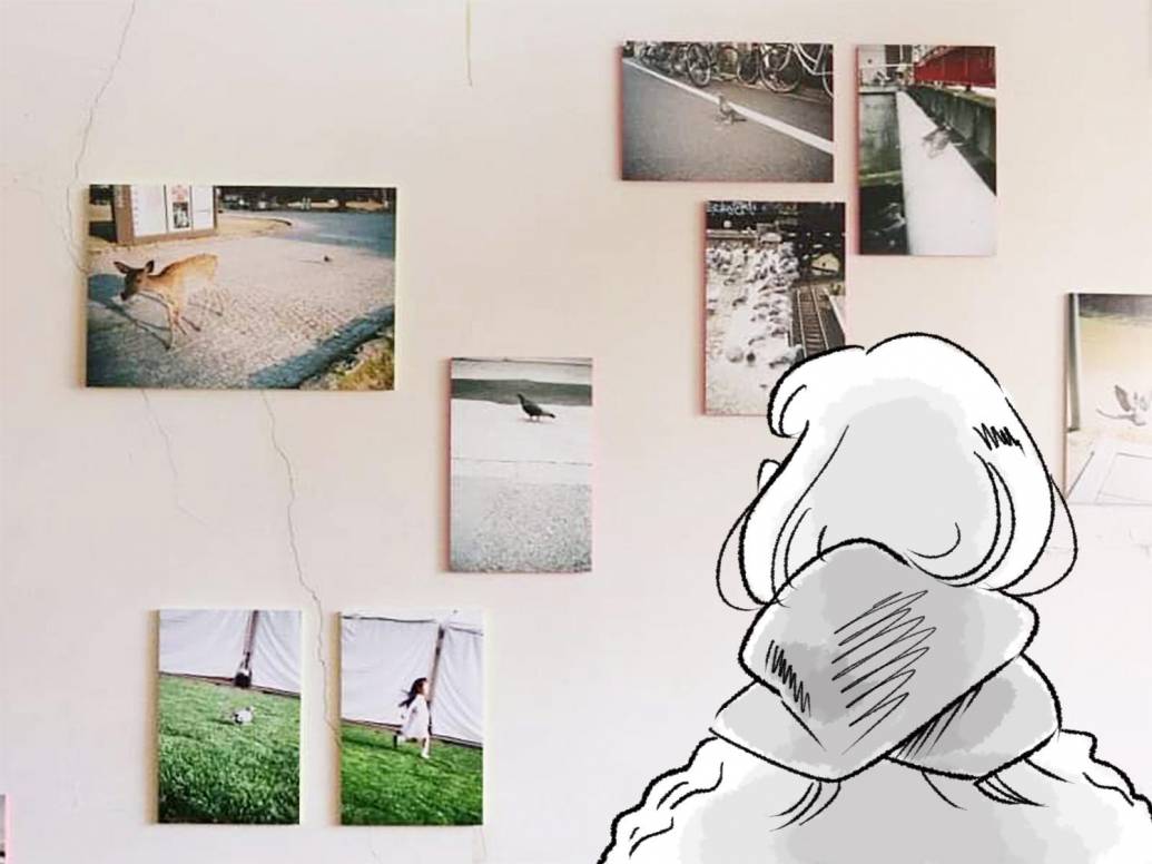 愛ならぬ、これは恋《写真展「ハトの国」》