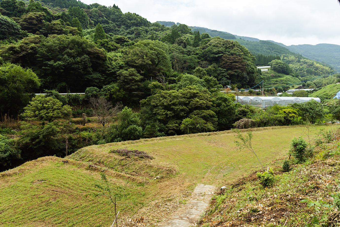 okamoto(20220715)(web)-017.jpg