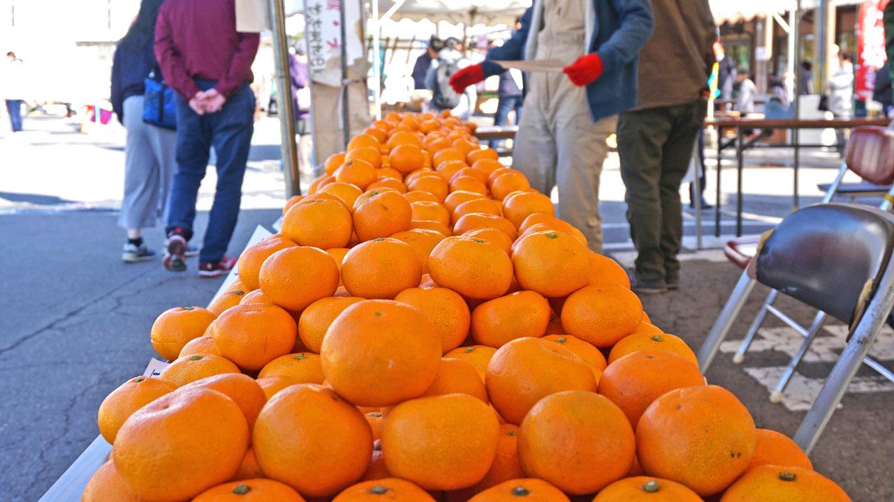 七浦大収穫祭｜EDITORS SAGA